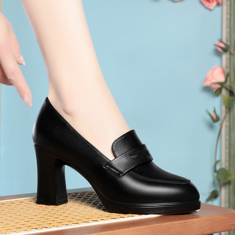 Women's Pumps Comfortable Round Head Chunky Heel Stable Soft Surface