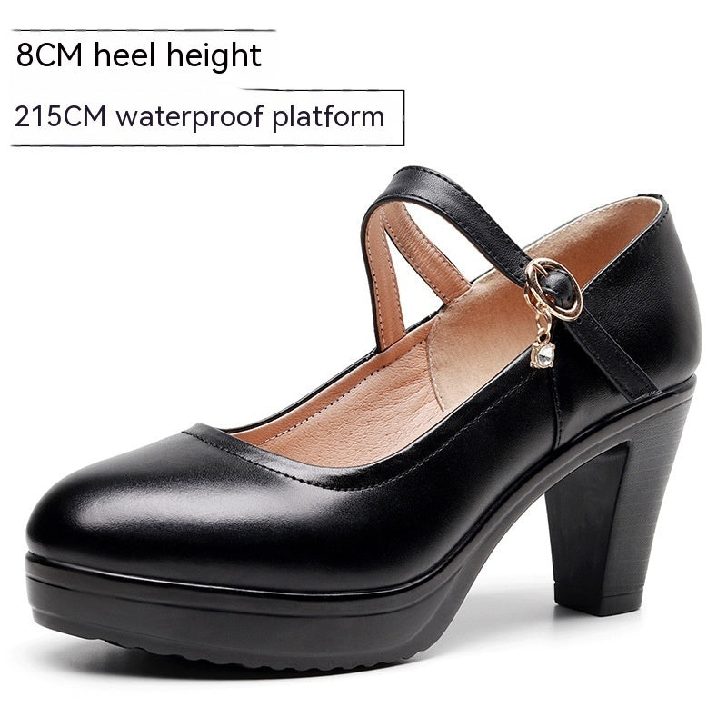 Round Toe Shallow Mouth High Heel Thick Bottom Waterproof Platform Shoes